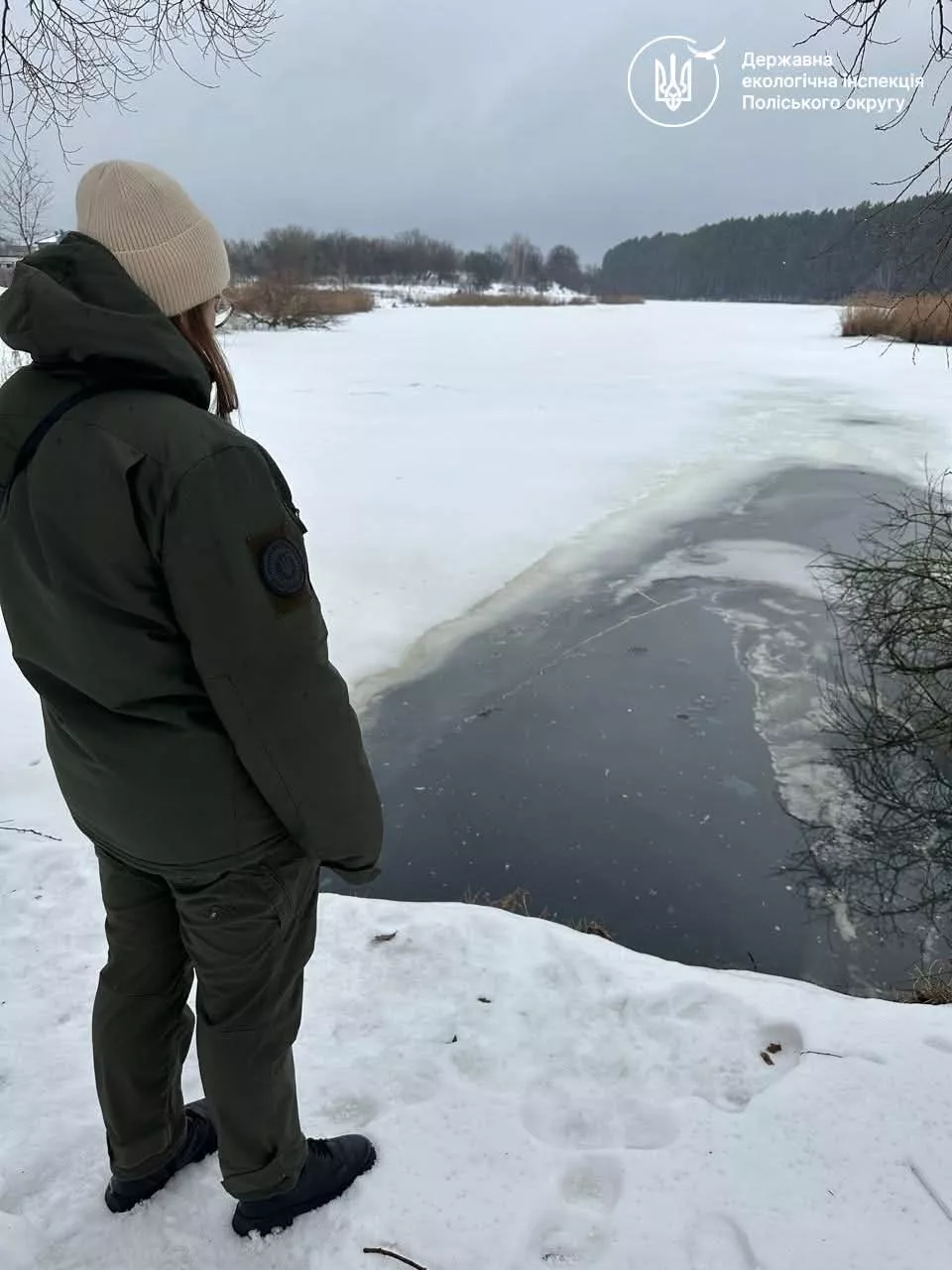 2 млн грн збитків через загибель риби у річці Крошенка: Екоінспекція передала матеріали до прокуратури