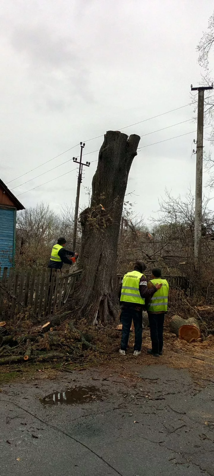 Перед Великоднем у Малині провели прибирання: як працюють КП «Екоресурс» та КП «Енергія»