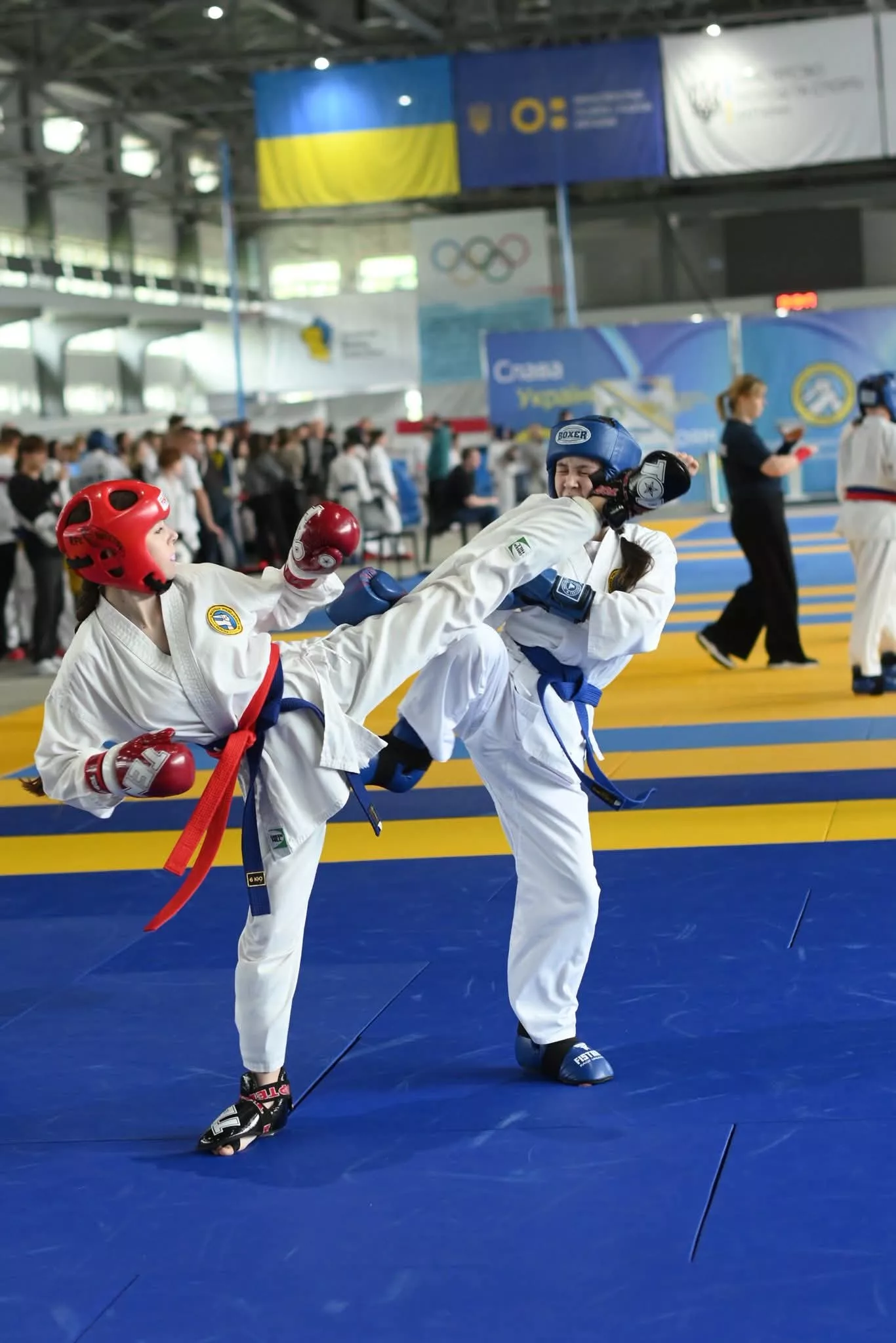 Радомишльські спортсмени вибороли 13 нагород на Чемпіонаті України з рукопашного бою в Києві