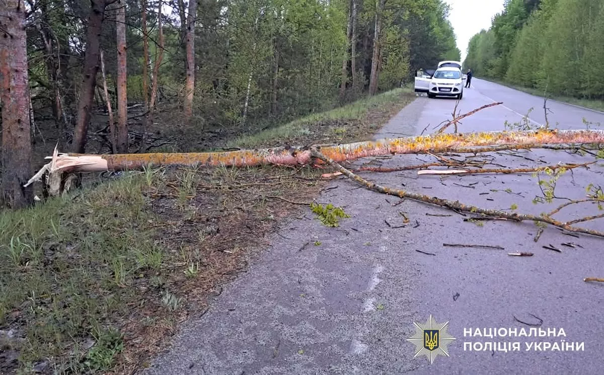 Смертельна ДТП біля Малина: мотоцикл врізався в дерево та загорівся