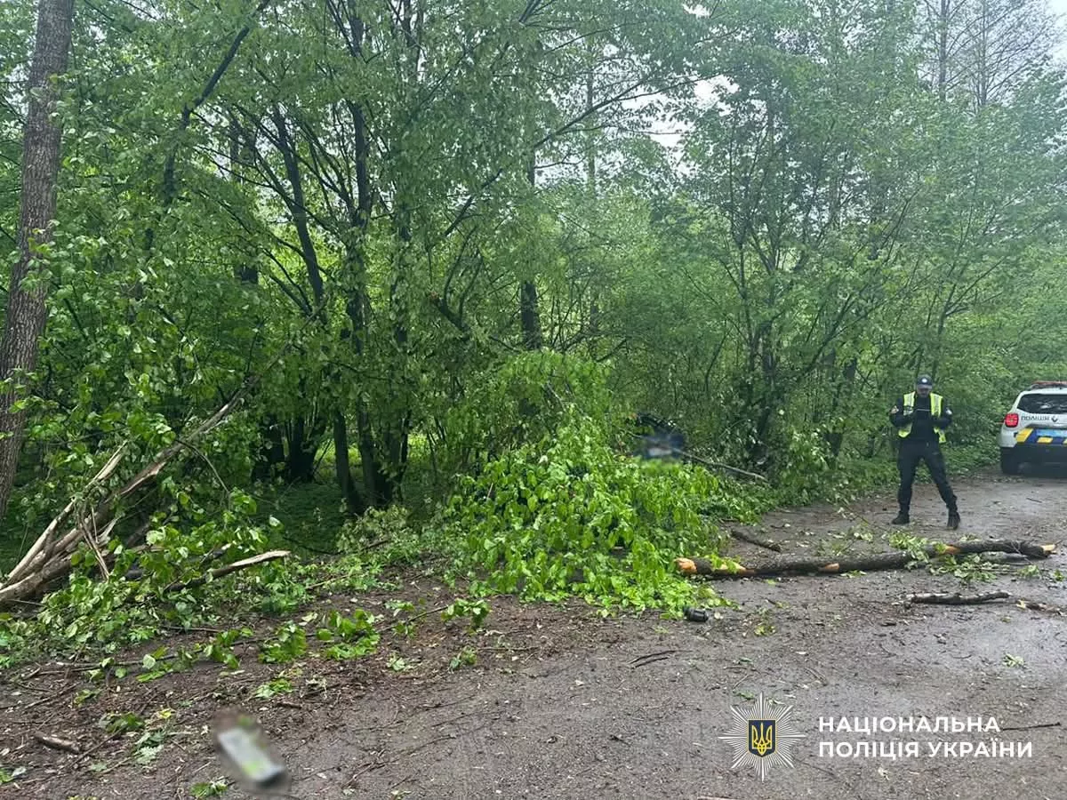 Смертельна ДТП на Малинщині: загинули двоє чоловіків