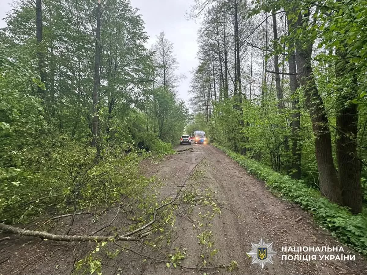 Смертельна ДТП на Малинщині: загинули двоє чоловіків
