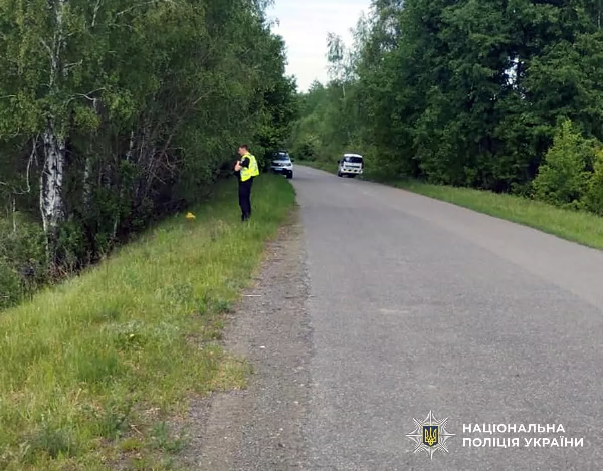 На Малинщині скутеристка врізалася у дерево: жінку госпіталізували до реанімації