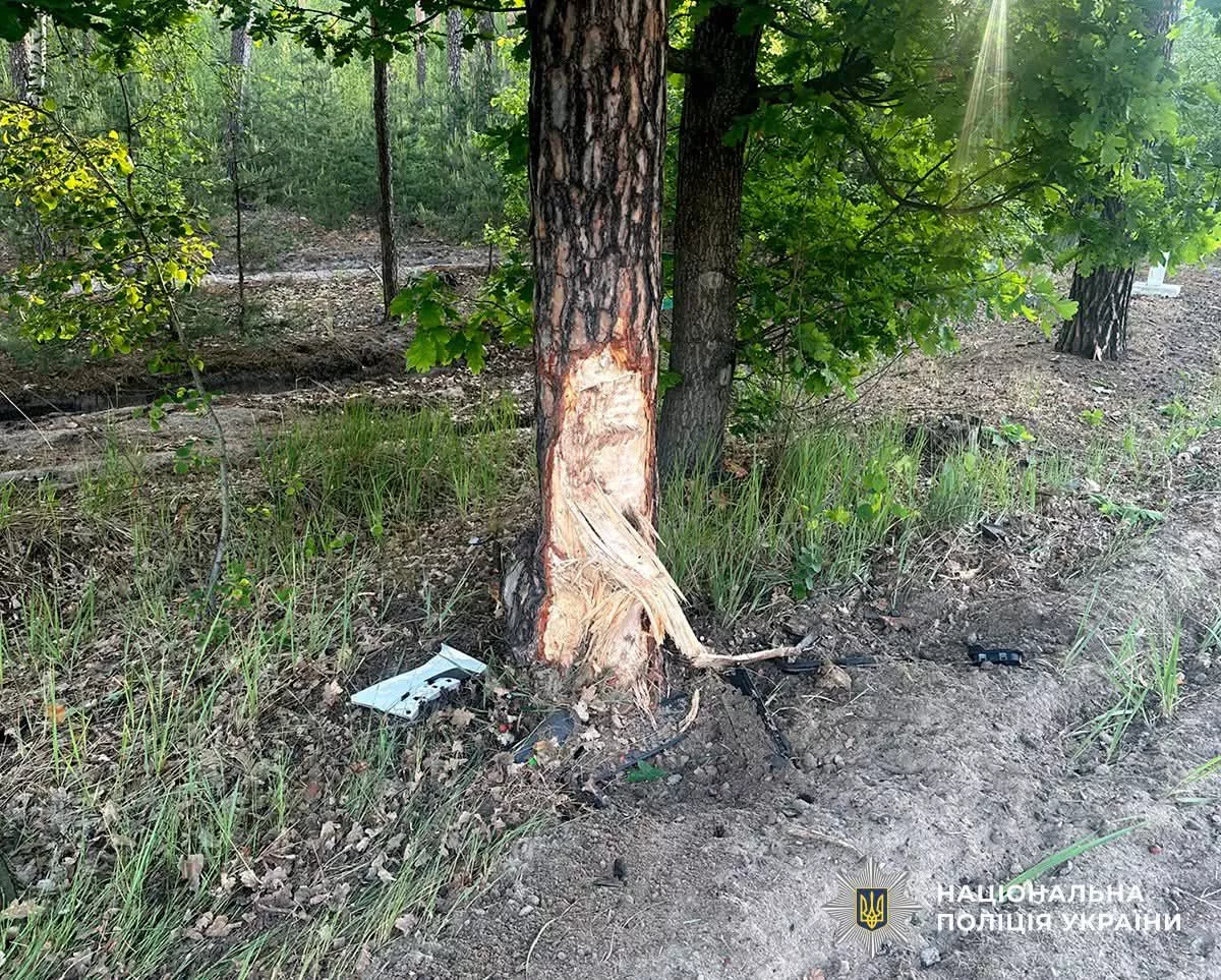 Смертельна ДТП на Малинщині: поліція встановлює обставини трагедії