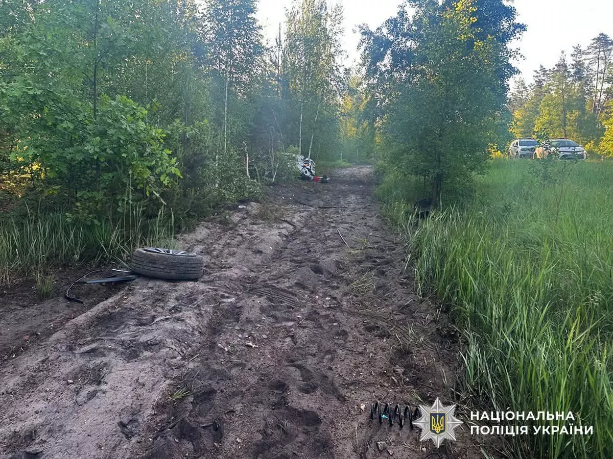 Смертельна ДТП на Малинщині: поліція встановлює обставини трагедії