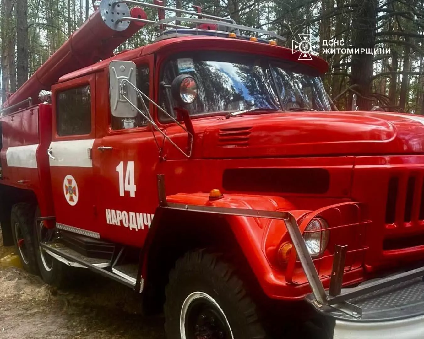 У заповіднику «Древлянський» на Житомирщині ліквідували пожежу після падіння уламків російського БПЛА