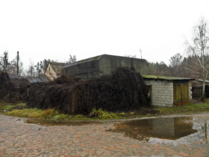 Вхід у Вальгаллу під Житомиром: містична легенда ставки Гіммлера «Гегевальд»
