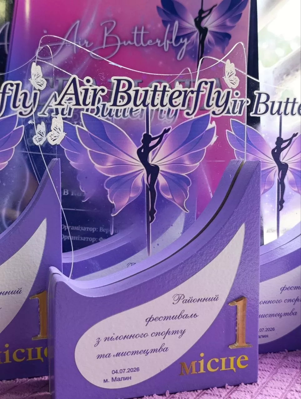 "Air Butterfly": у Малині вдруге пройшли змагання з пілонного спорту та мистецтва