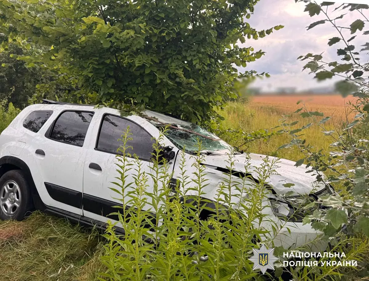 Поблизу Житомира в аварії постраждала однорічна дитина