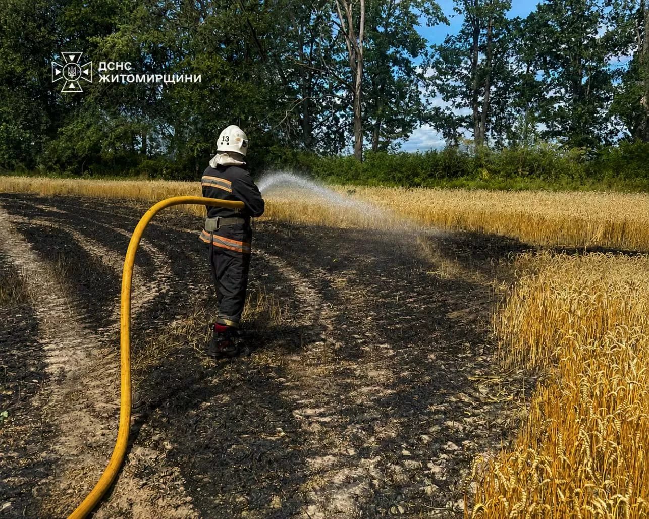 Російський удар знищив частину врожаю на Житомирщині: вигоріло пшеничне поле