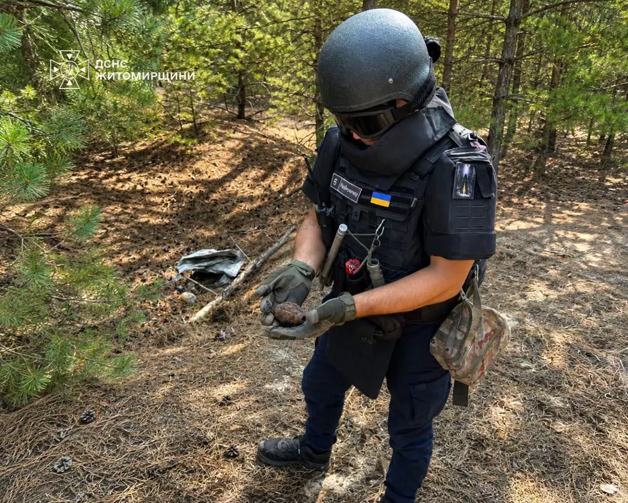 Під Малином грибники натрапили на небезпечну знахідку часів Другої світової