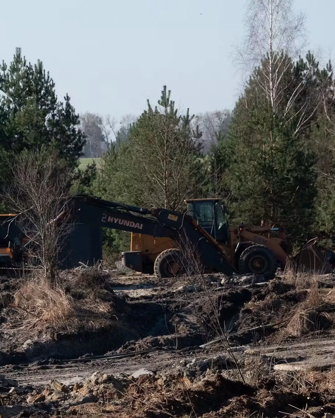 Водна криза на Житомирщині: чому міліють Тетерів, Уж та Гуйва — і це лише верхівка айсберга