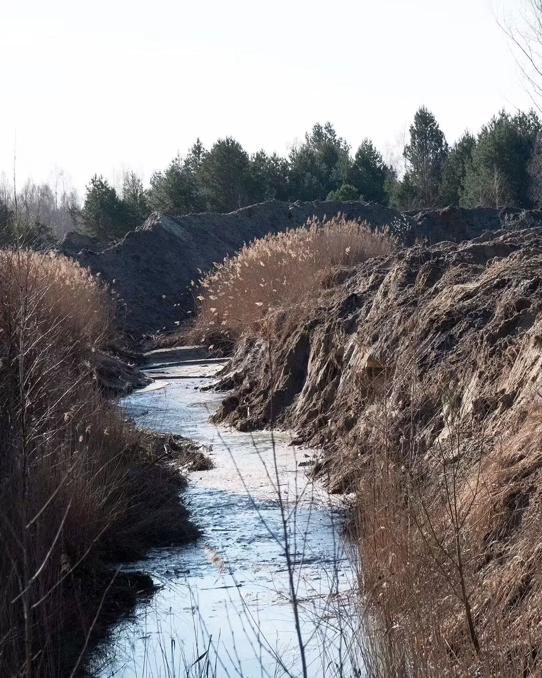 Водна криза на Житомирщині: чому міліють Тетерів, Уж та Гуйва — і це лише верхівка айсберга