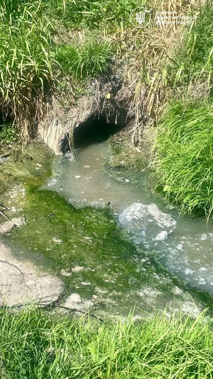 Водна криза на Житомирщині: чому міліють Тетерів, Уж та Гуйва — і це лише верхівка айсберга