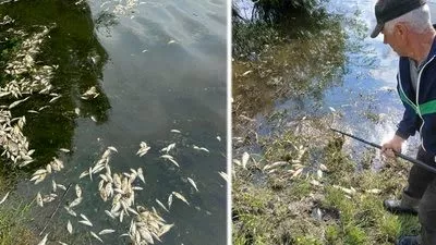 Водна криза на Житомирщині: чому міліють Тетерів, Уж та Гуйва — і це лише верхівка айсберга