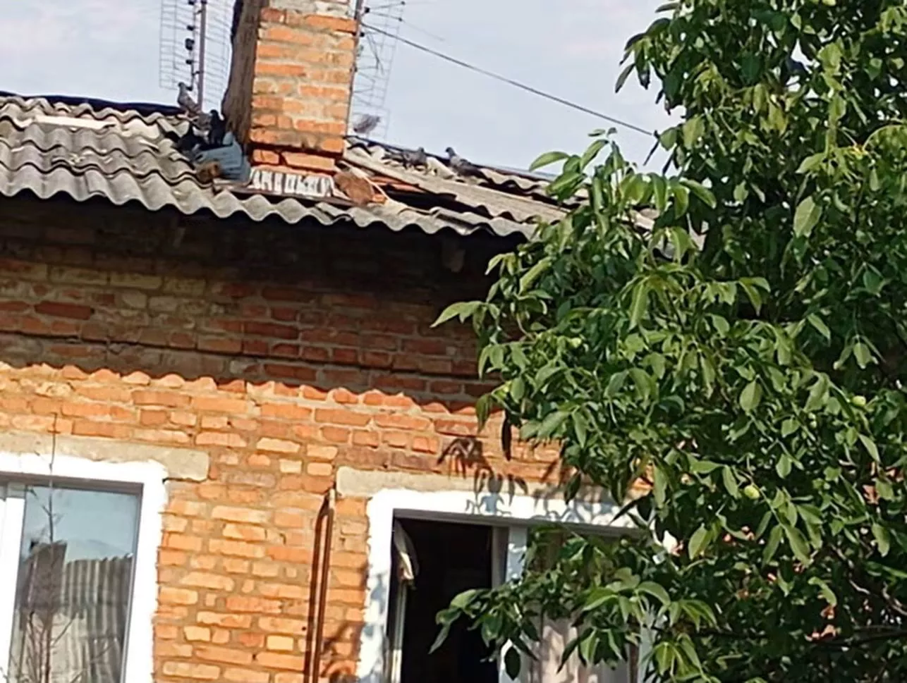 Негода в Малині: сильний вітер пошкодив будинки, повалив дерева та обірвав електромережі
