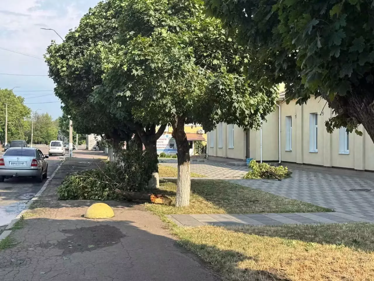 Негода в Малині: сильний вітер пошкодив будинки, повалив дерева та обірвав електромережі