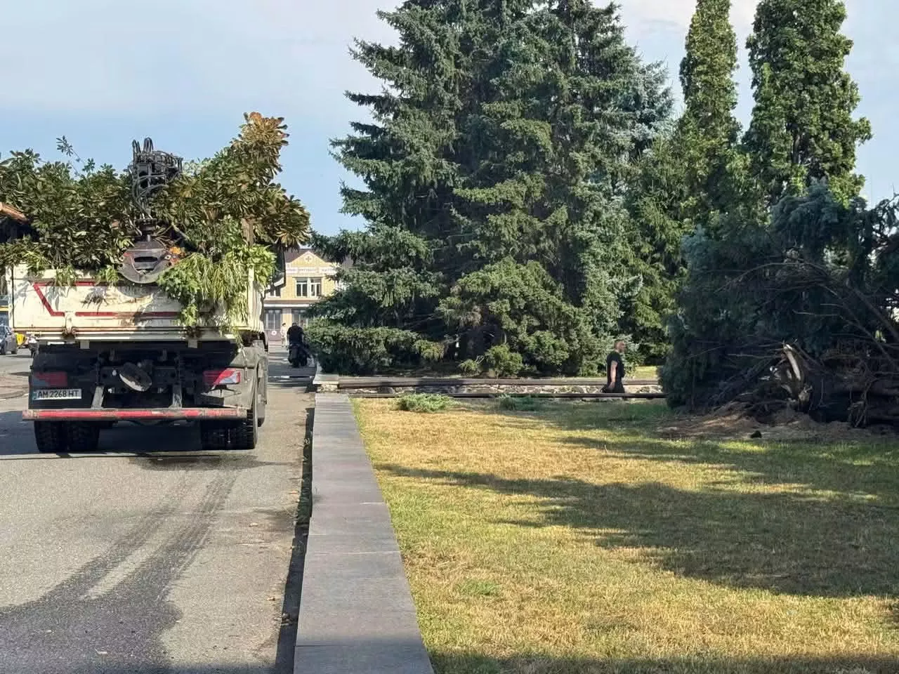 Негода в Малині: сильний вітер пошкодив будинки, повалив дерева та обірвав електромережі