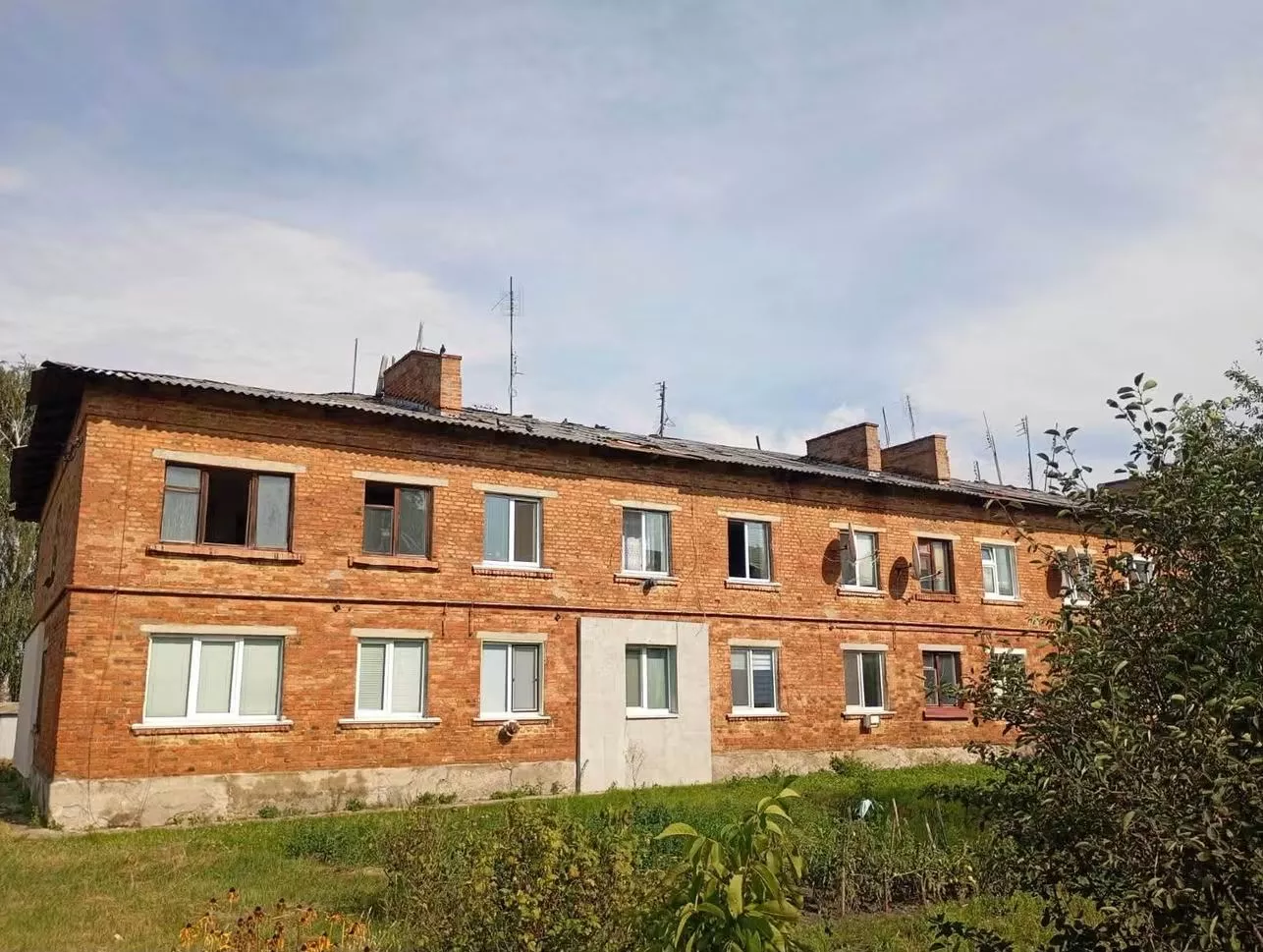 Негода в Малині: сильний вітер пошкодив будинки, повалив дерева та обірвав електромережі