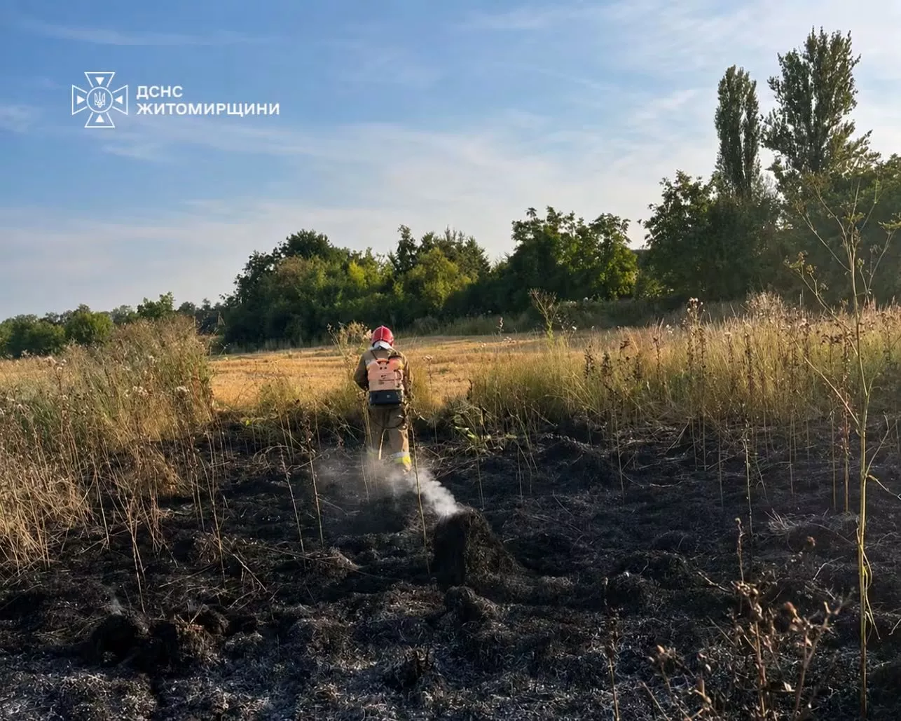 Горить Житомирщина: за добу вигоріло майже 10 гектарів, рятувальники ліквідували 11 пожеж