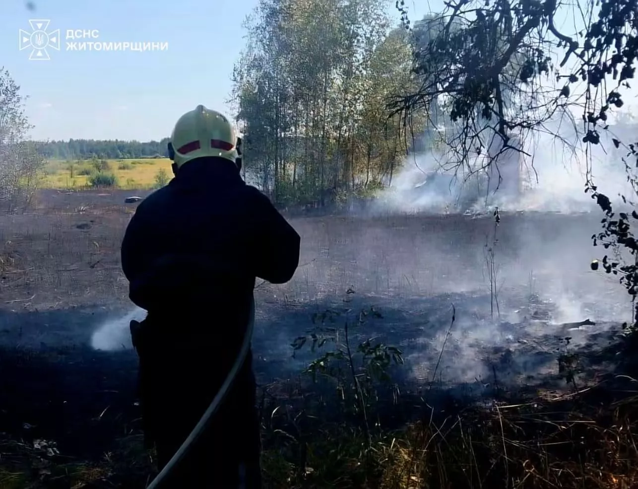На Коростенщині 80-річний чоловік отримав опіки, намагаючись загасити пожежу стерні