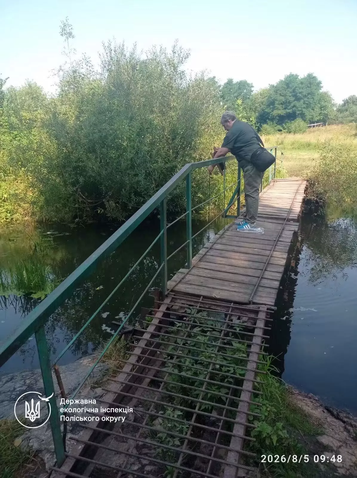 У Житомирі в річці Кам’янка загинули понад тисячу екземплярів риб
