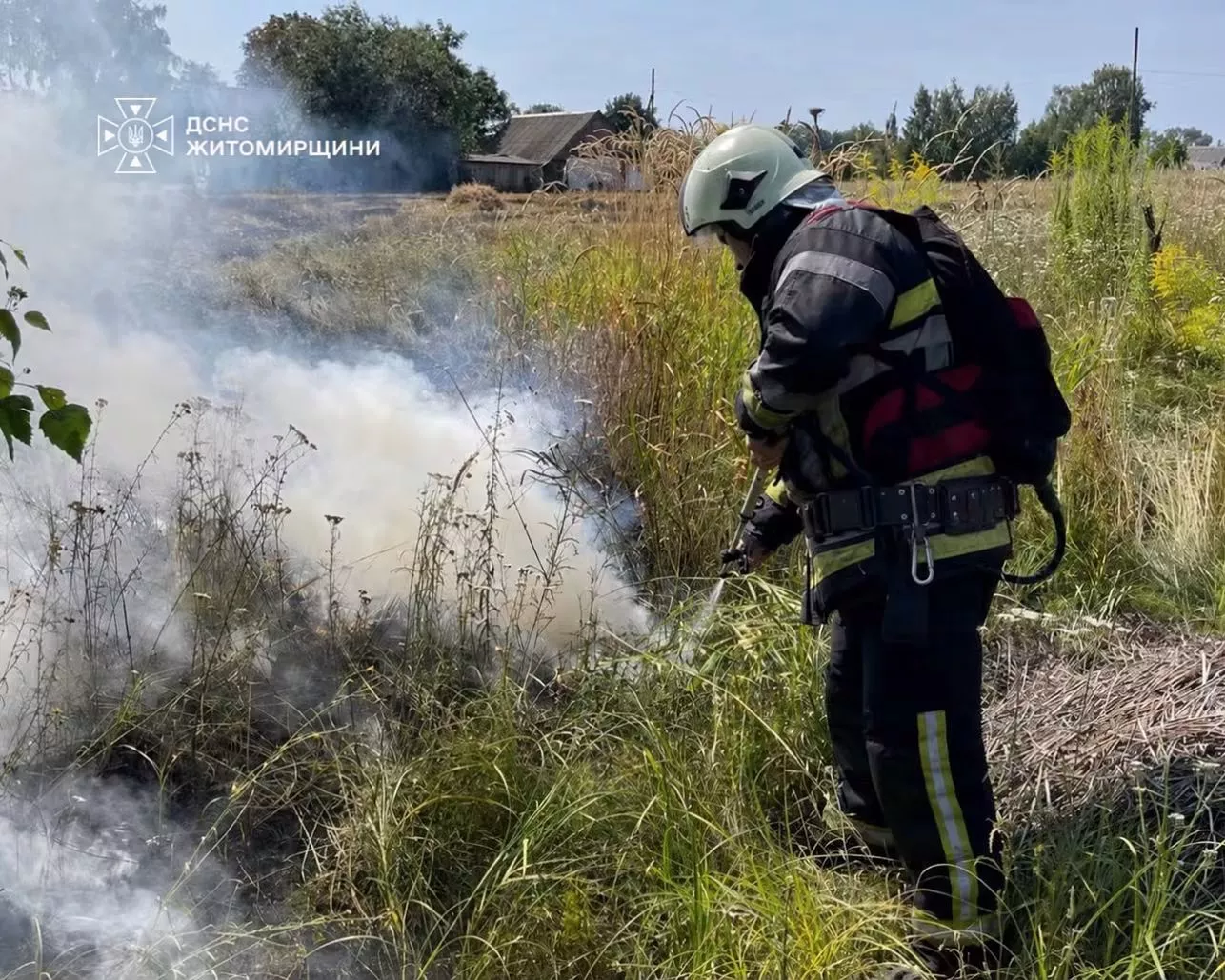 На Житомирщині 74-річна жінка обгоріла, намагаючись загасити пожежу стерні