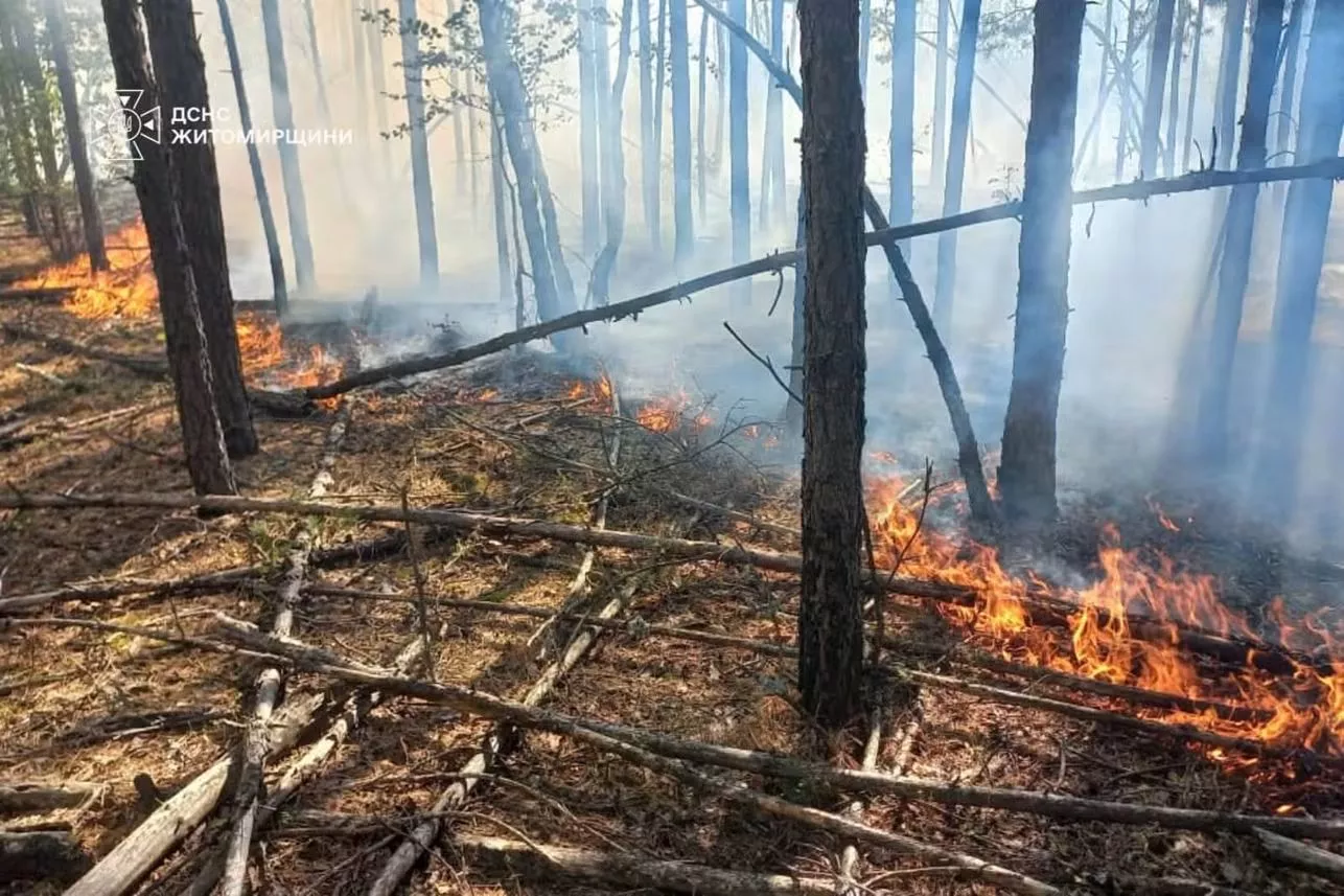 Пожежа у радіаційній зоні: на Коростенщині горять 59 га лісу