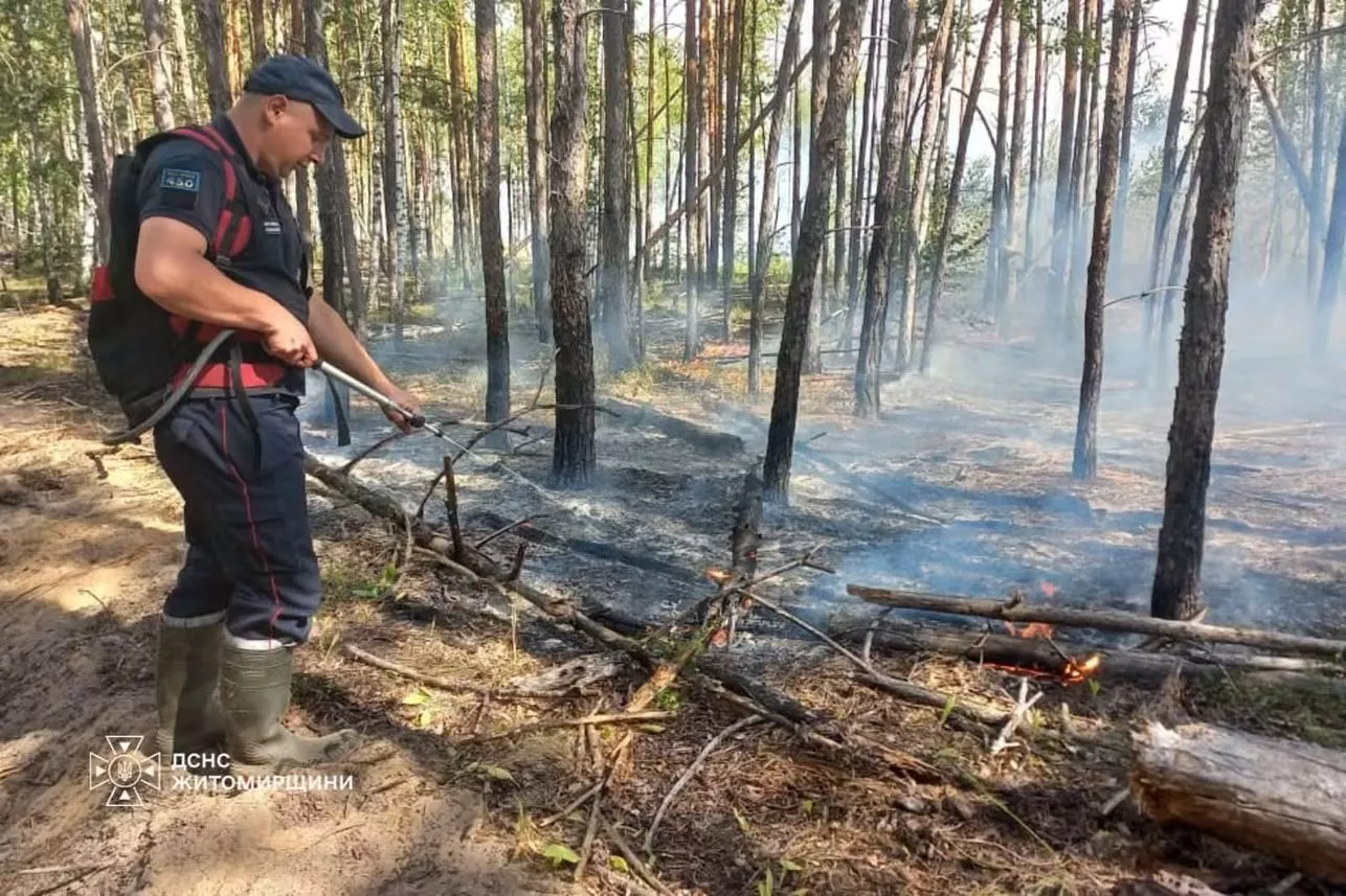 Пожежа у радіаційній зоні: на Коростенщині горять 59 га лісу