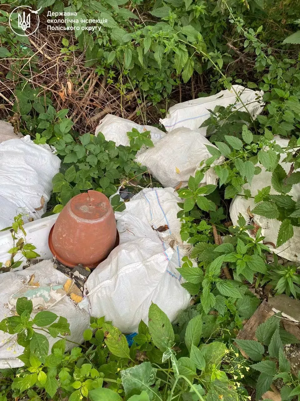 На Житомирщині та Рівненщині екологи виявили звалища, спалювання рослинності та браконьєрство