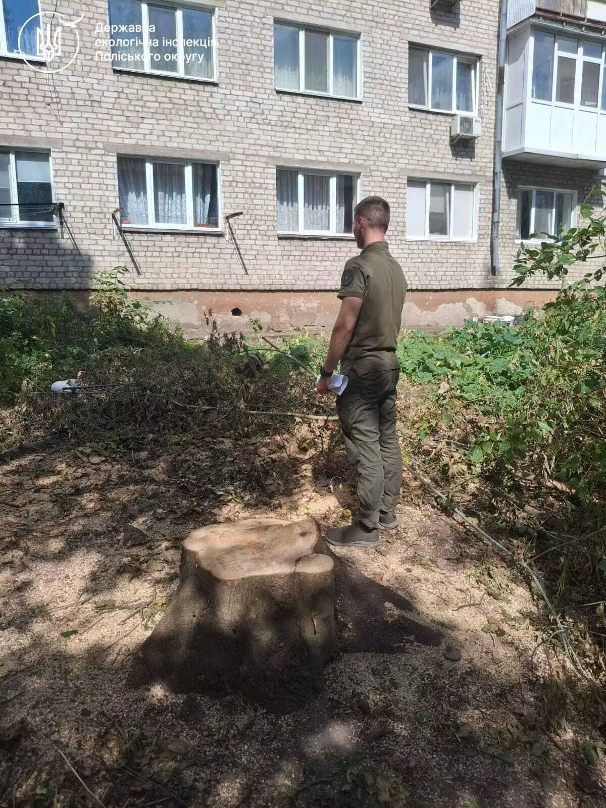 На Житомирщині та Рівненщині екологи виявили звалища, спалювання рослинності та браконьєрство
