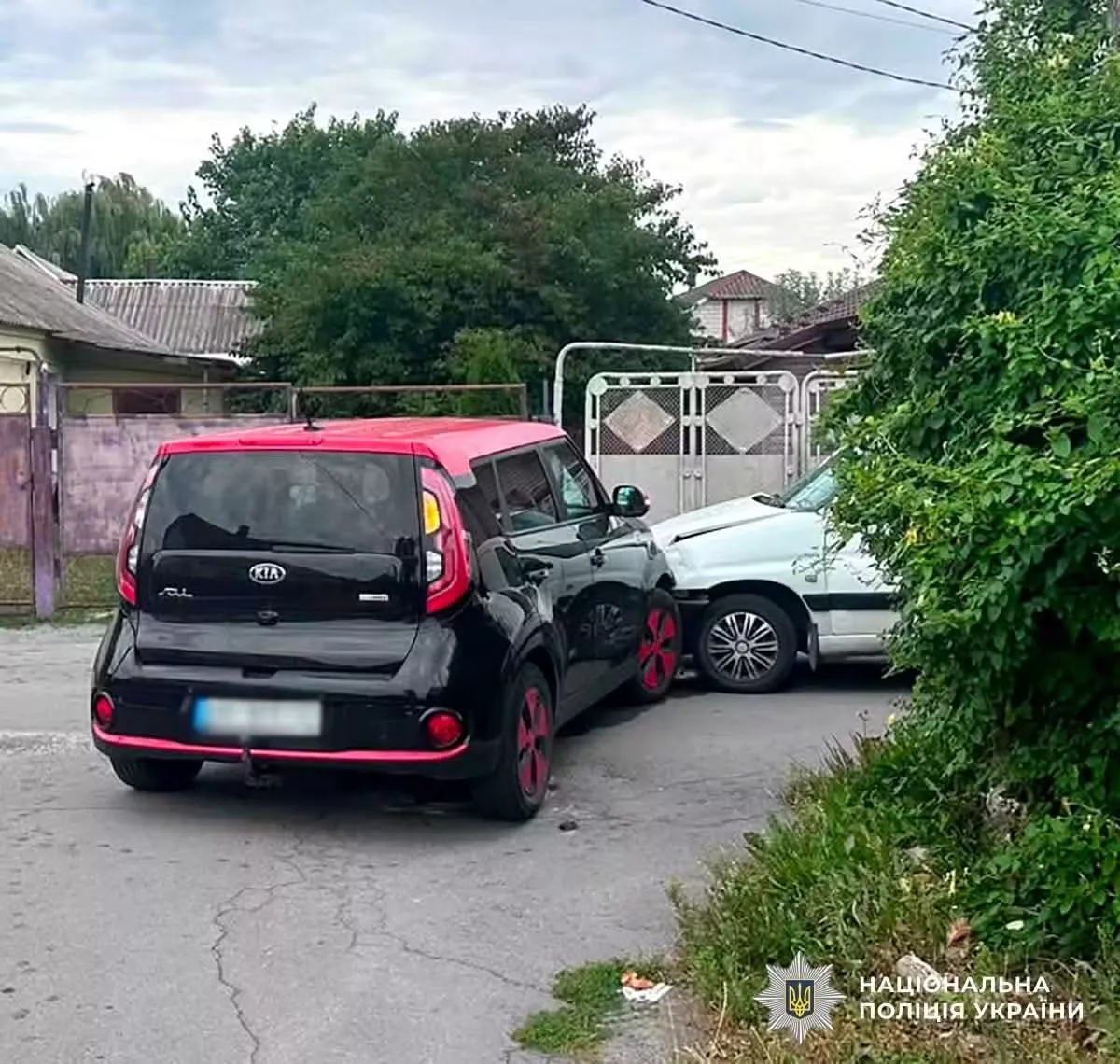 У Звягелі зіткнулися Kia та Peugeot: травмувалася пасажирка