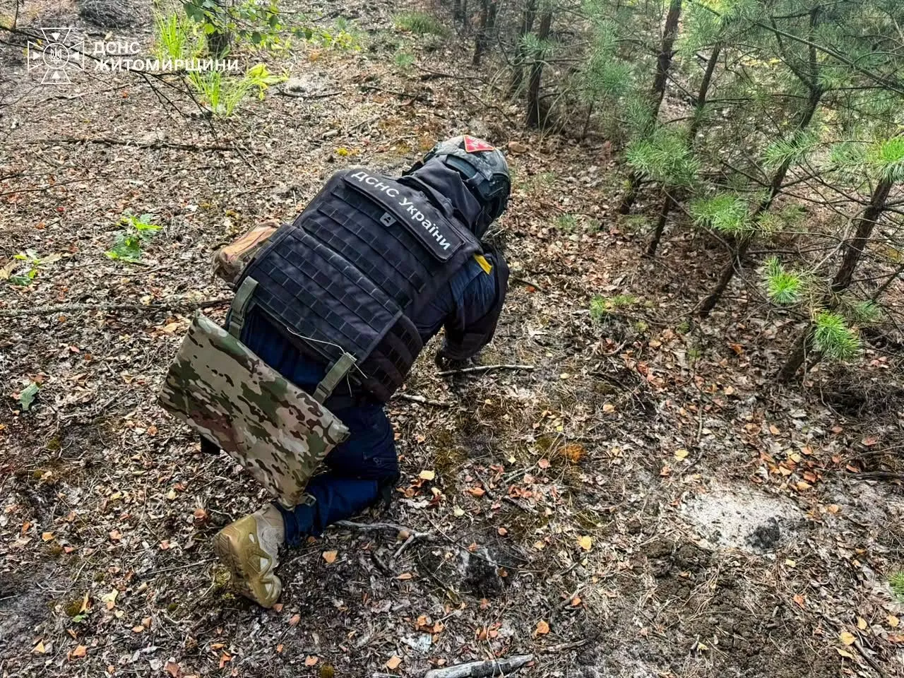 На Радомишльщині у лісі знайшли артилерійський снаряд часів Другої світової війни