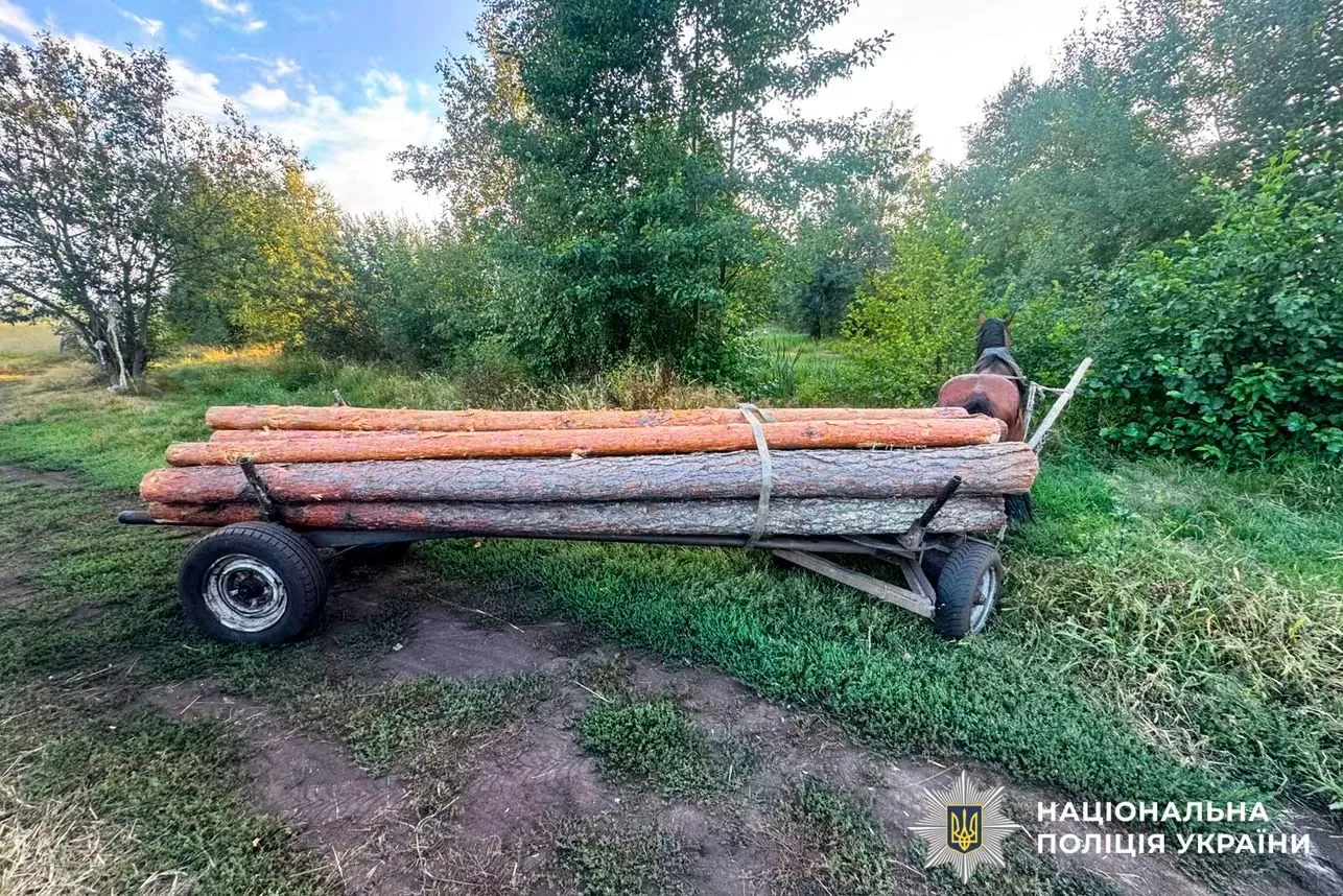 На Рівненщині крали ліс у заповіднику: один із порушників вивозив деревину кіньми