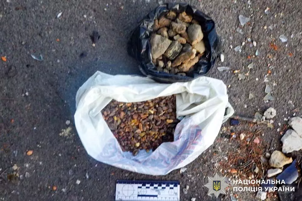 На Сарненщині чоловік зберігав гранати, наркотики та понад 1,5 кг бурштину