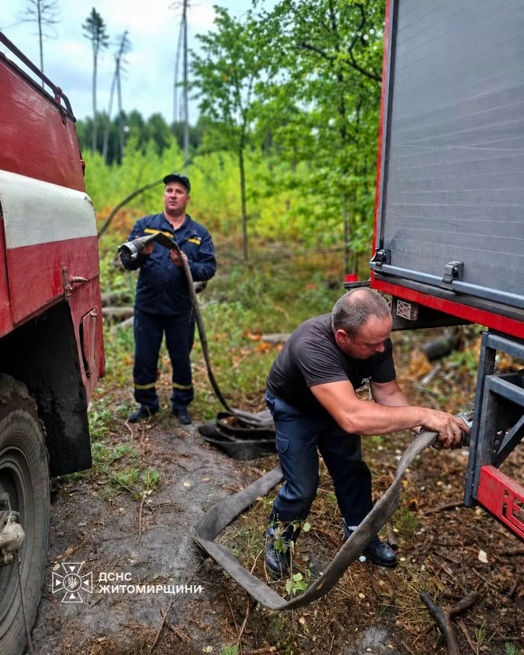 На Коростенщині ліквідували лісову пожежу, що тривала 13 днів
