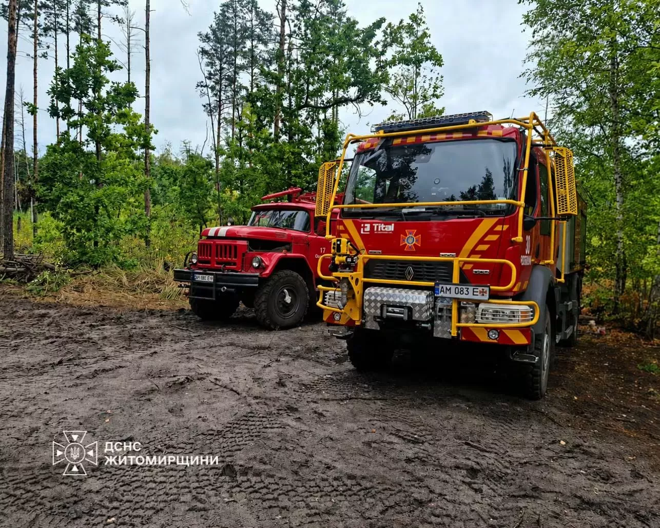 На Коростенщині ліквідували лісову пожежу, що тривала 13 днів