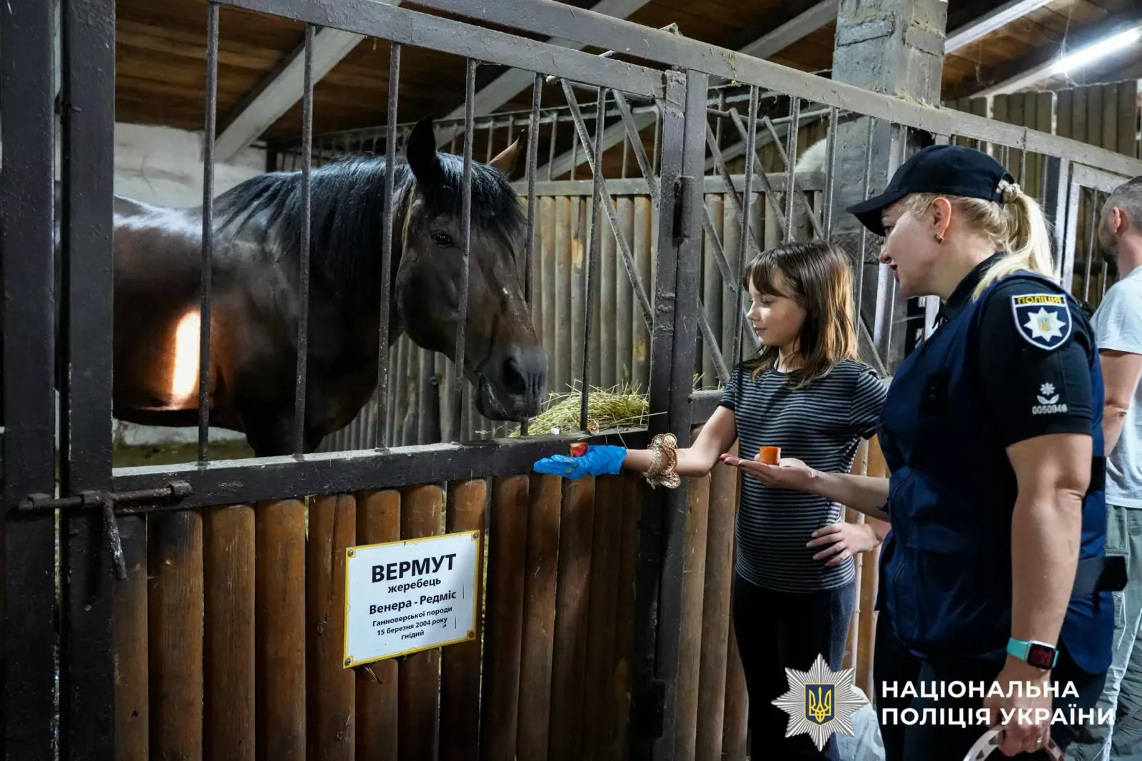 На Рівненщині для поранених захисників організували іпотерапію