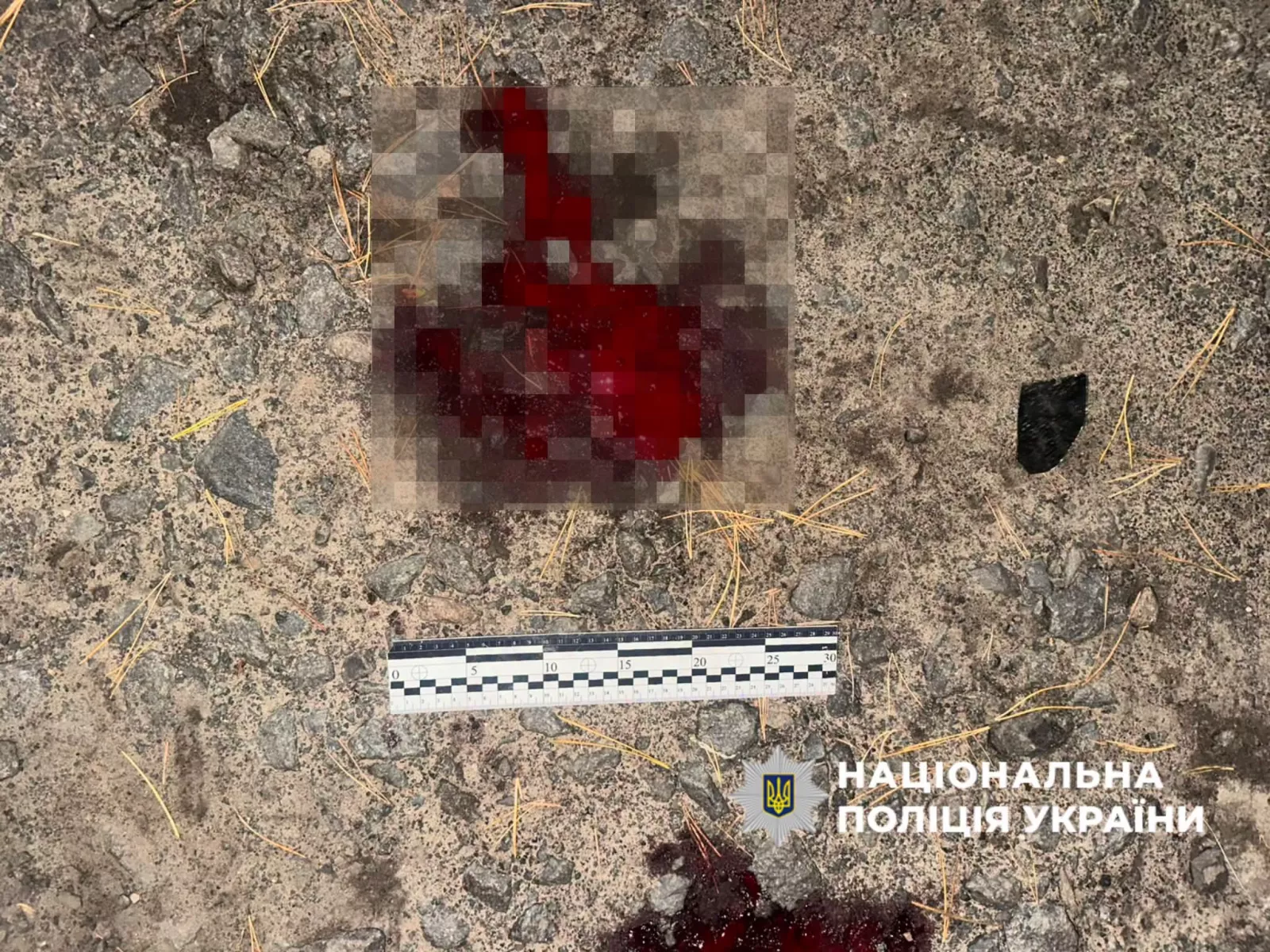 Без шолома і прав: на Рівненщині 16-річний мотоцикліст у комі