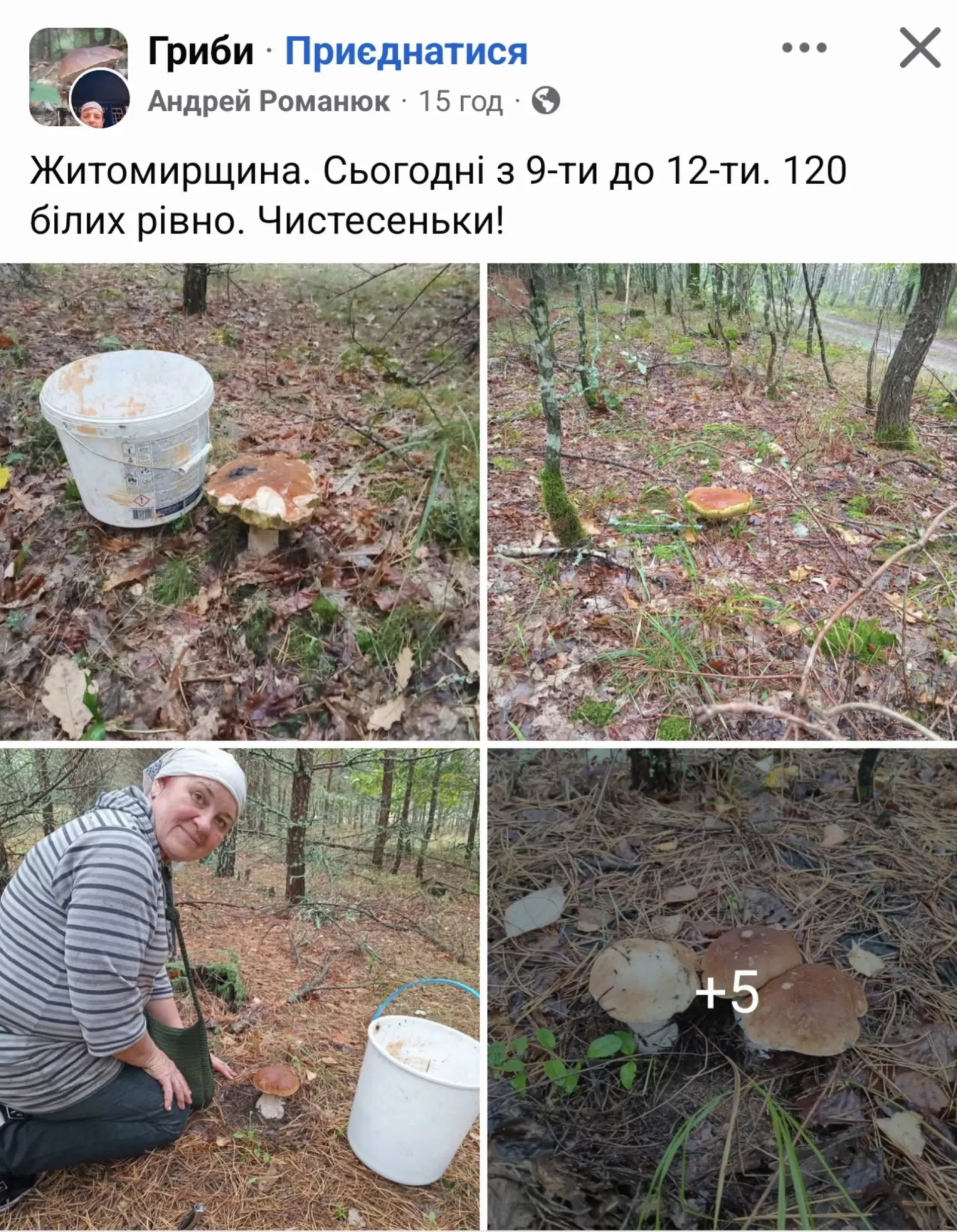 Повний багажник грибів: на Малинщині показали неймовірний врожай