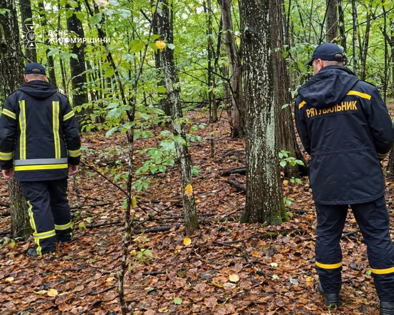 На Малинщині знайшли 81-річного чоловіка, який зник у лісі