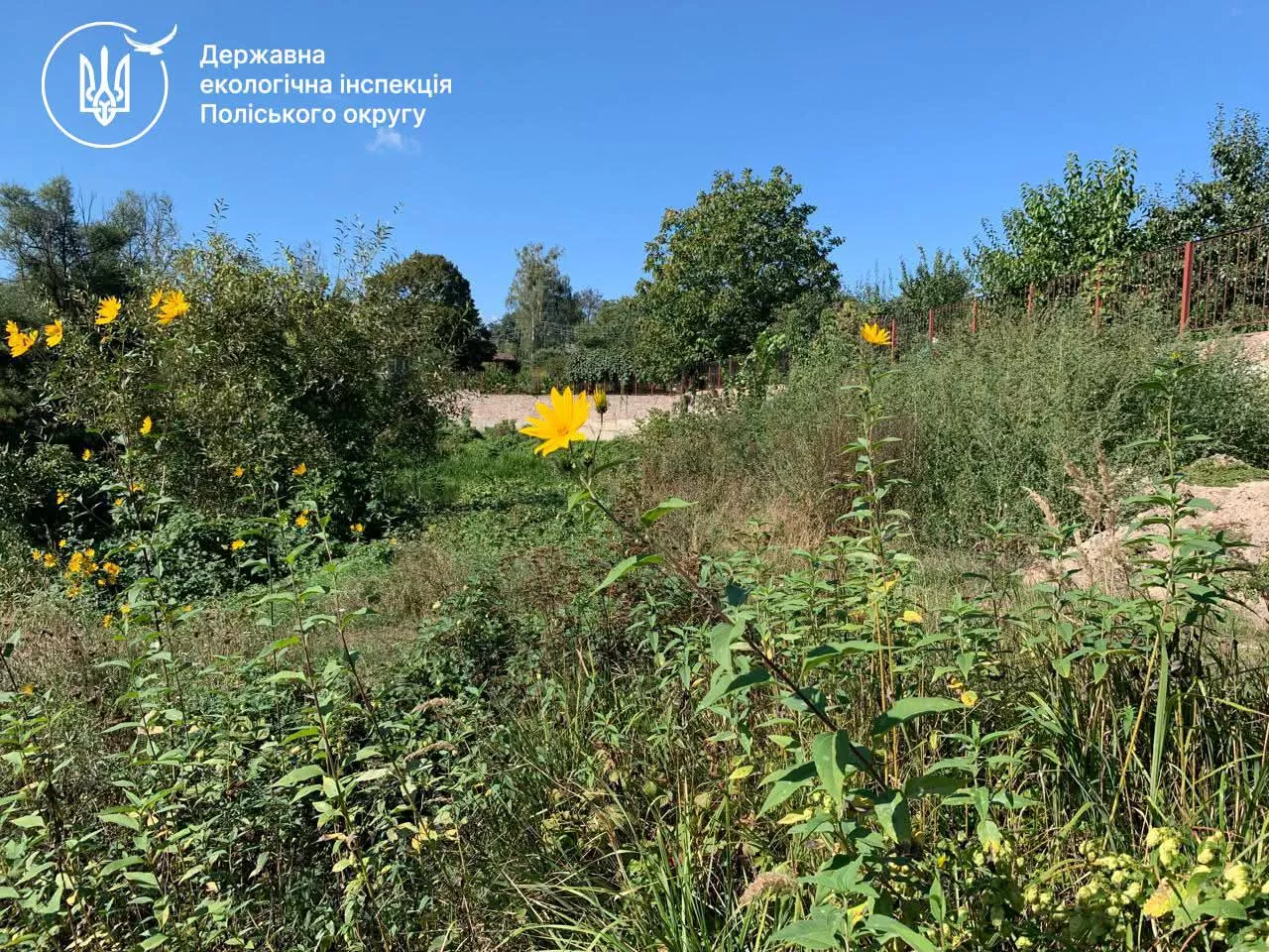 У Коростені виявили шість ділянок з обмеженим доступом до річки Уж