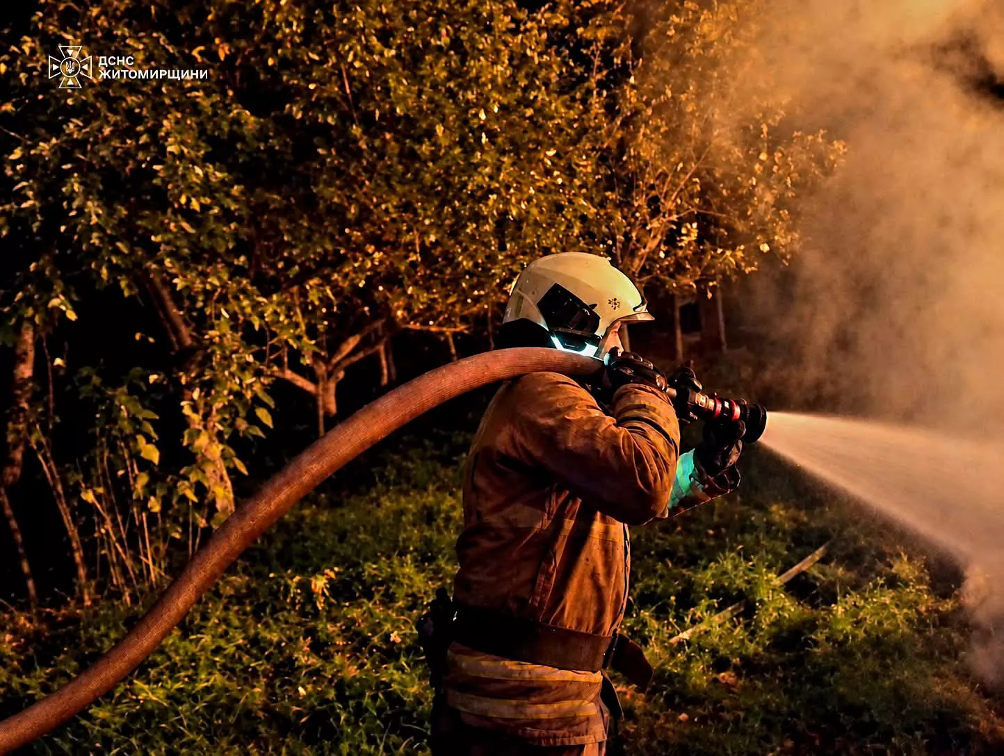 Чотири пожежі за добу на Житомирщині: горіли авто та будівлі