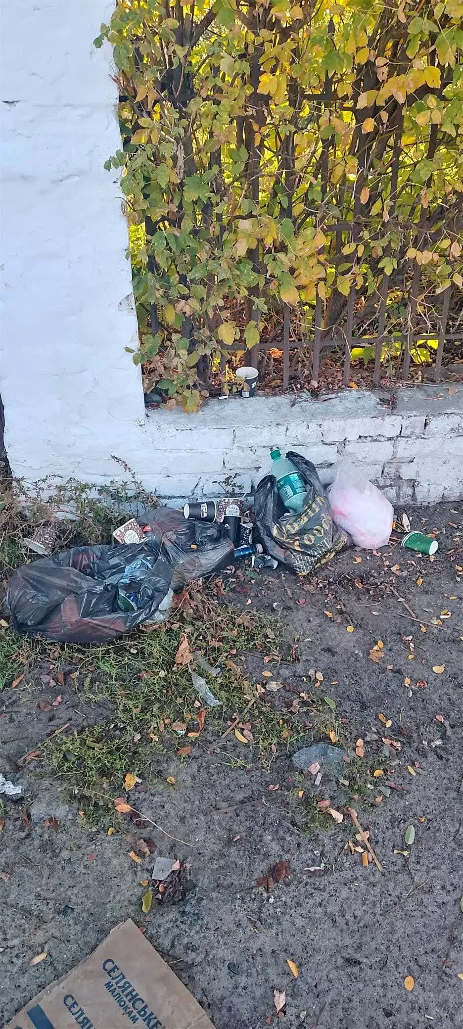 У Потіївці вандали пошкодили паркан на кладовищі