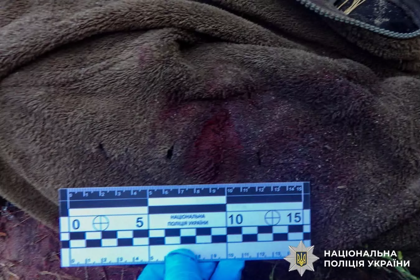 Жорстоко вбив односельця в лісі: на Сарненщині затримали 36-річного чоловіка