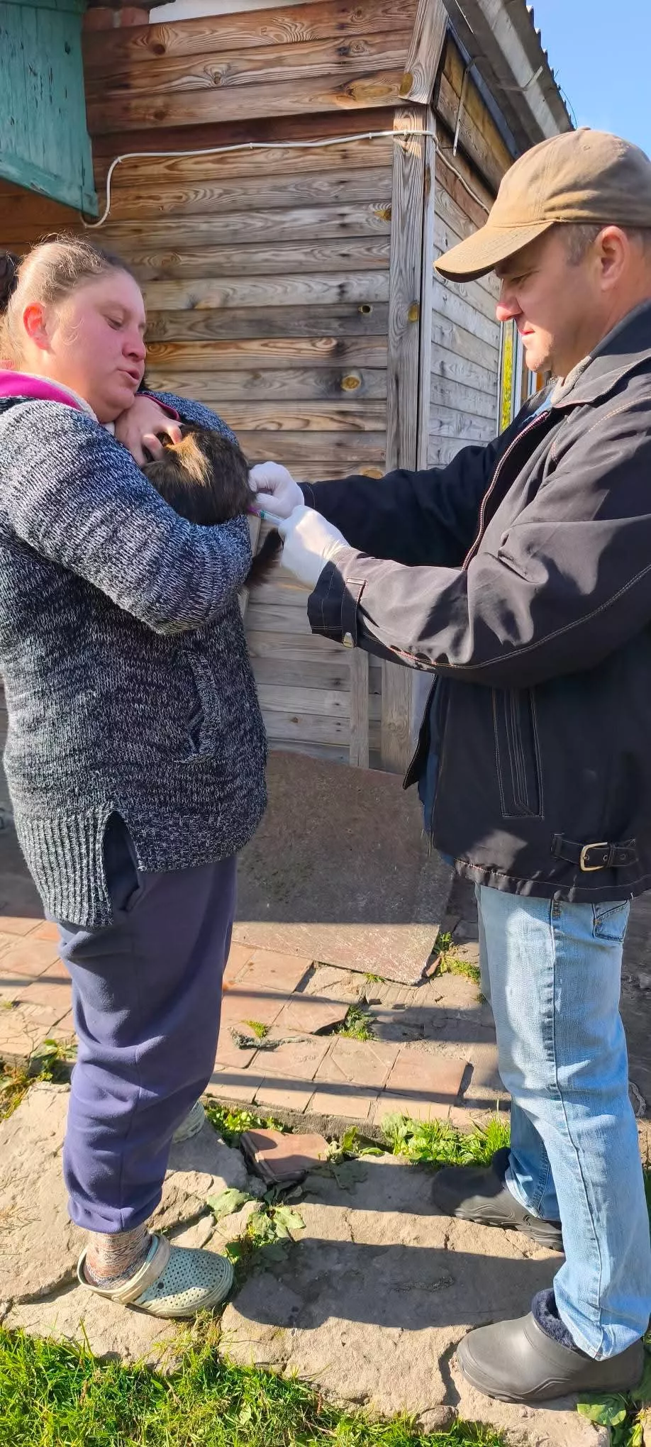 У чотирьох селах Малинщини вакцинували тварин проти сказу