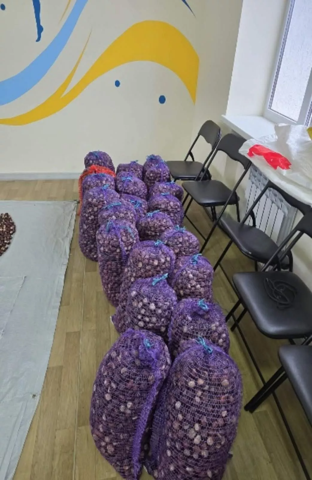 Малинський ліцей №2 зібрав понад 700 кг каштанів на детектори дронів для ЗСУ