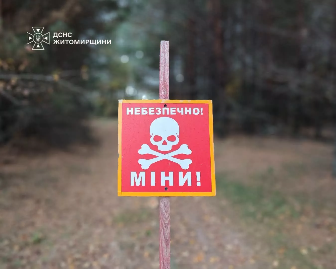 У лісах Малинської громади медики ДСНС супроводжують піротехніків під час розмінування