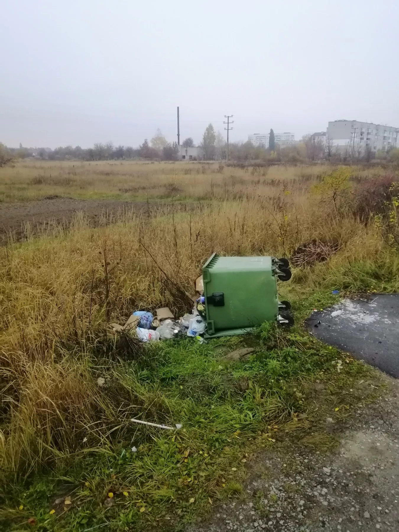 Замість чистоти — стихійне сміттєзвалище: у Малині контейнери знову на землі 