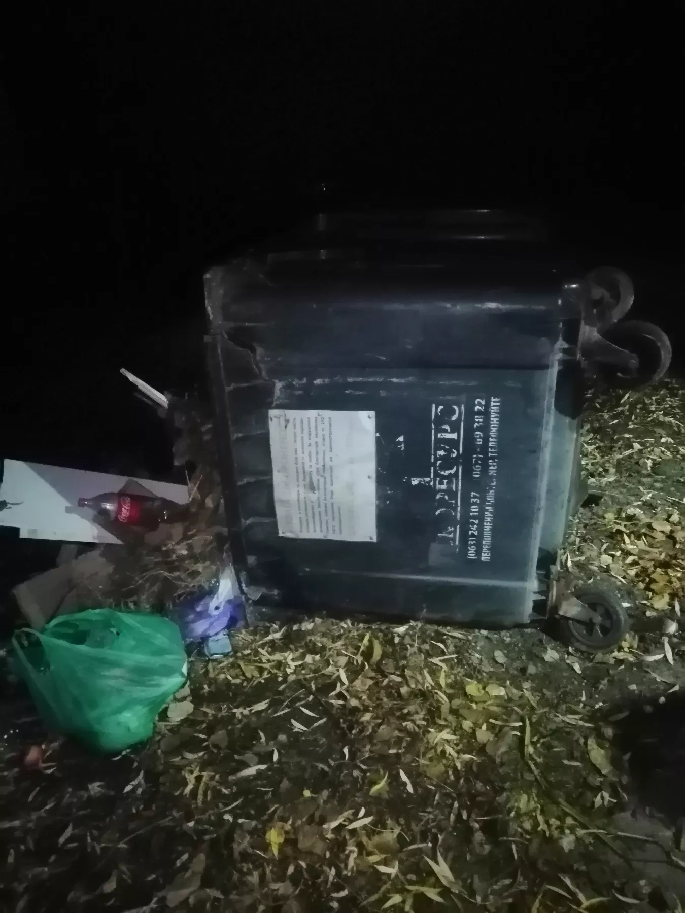 Замість чистоти — стихійне сміттєзвалище: у Малині контейнери знову на землі 